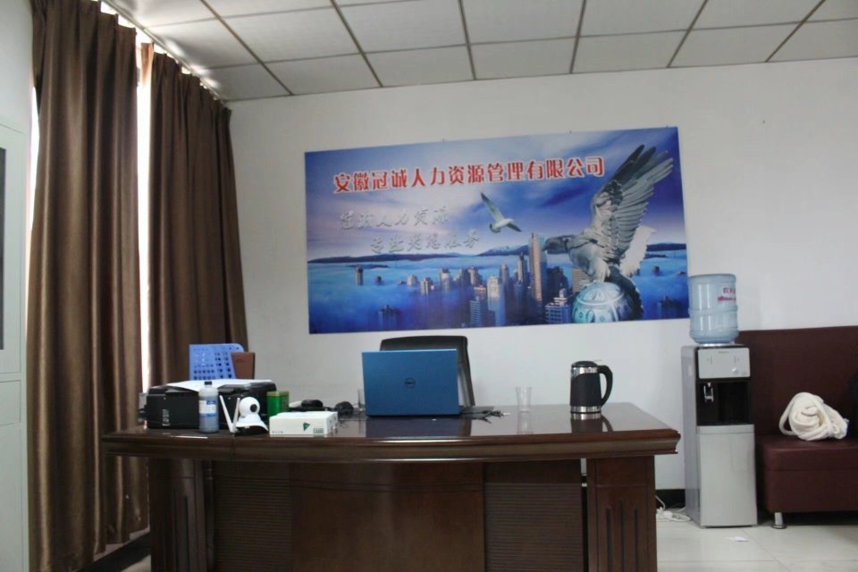 安徽冠诚人力资源管理-专业人力信息咨询服务解读